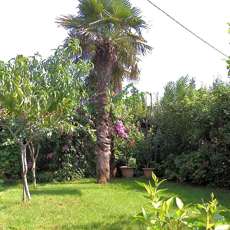 Milena Krk Town